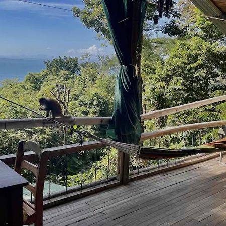 Beautiful Rustic Treehouse Hotel Manuel Antonio Quepos Exteriör bild