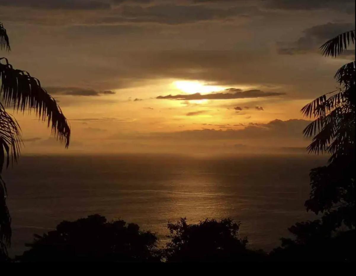 Beautiful Rustic Treehouse Hotel Manuel Antonio Quepos Exteriör bild