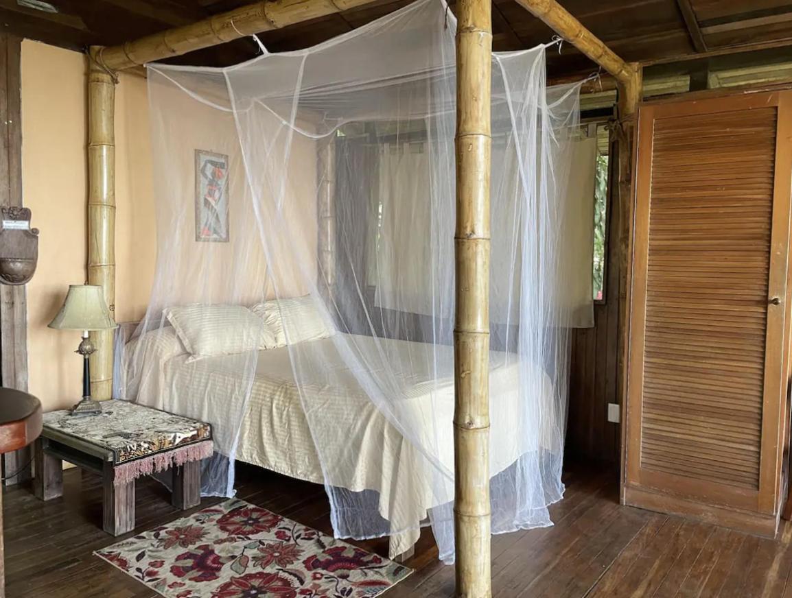 Beautiful Rustic Treehouse Hotel Manuel Antonio Quepos Exteriör bild