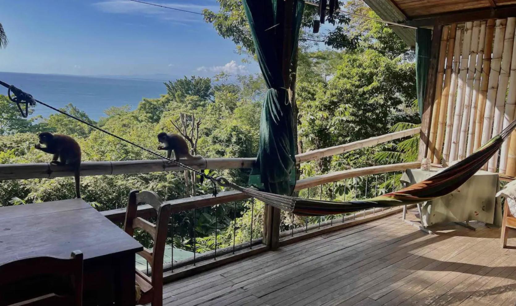 Beautiful Rustic Treehouse Hotel Manuel Antonio Quepos Exteriör bild